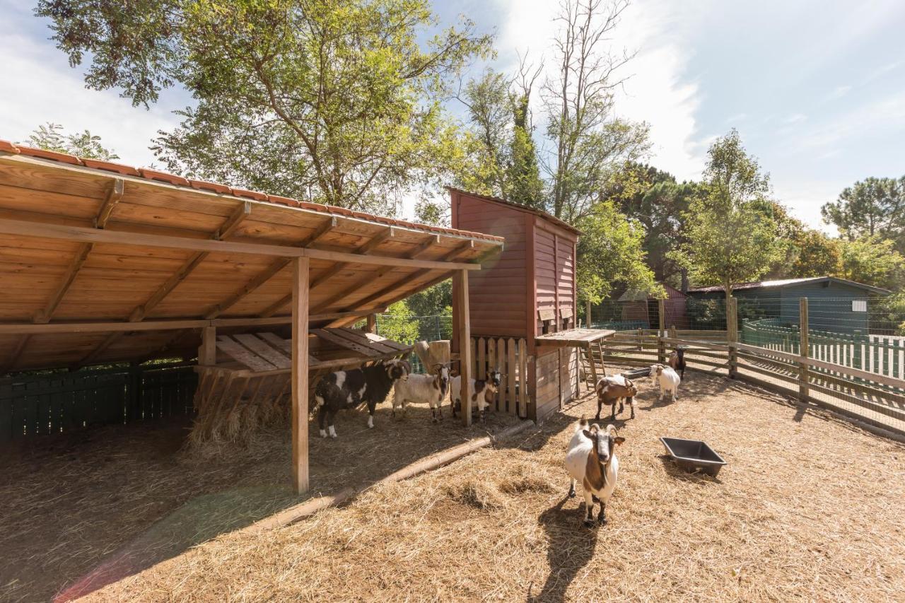 Village Pierre & Vacances Moliets Exterior photo